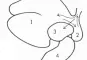 Pansen: 
